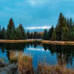 Interesting Ways To Study Climate Change