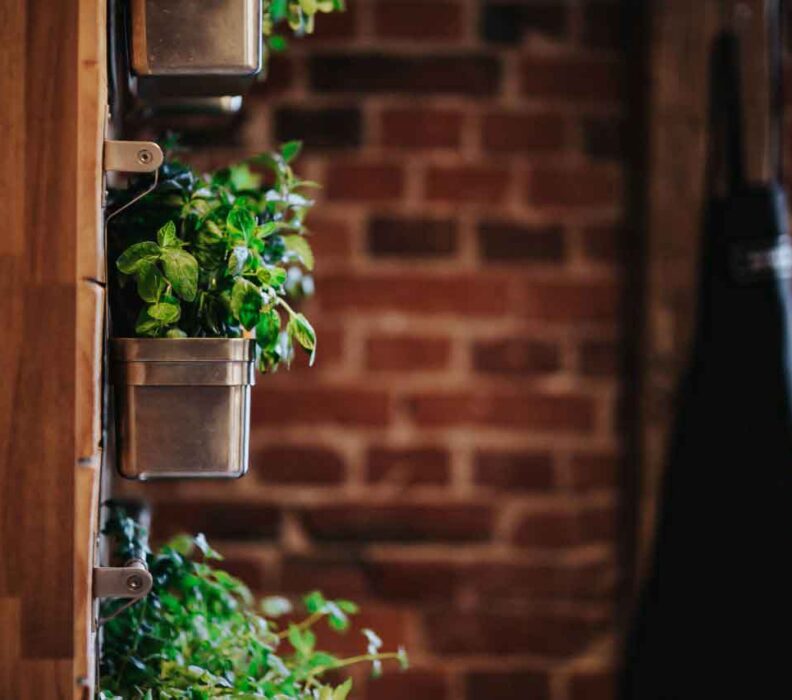 7 Must Haves For Your Eco Friendly Home